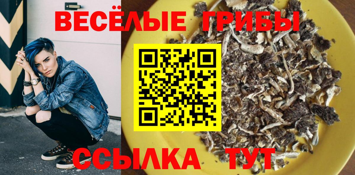 Галлюциногенные грибы Cubensis Гурьевск