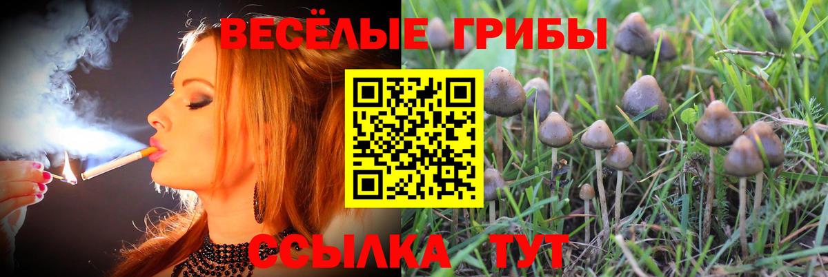 как найти закладки  Вход с VPN  Гурьевск  Галлюциногенные грибы мицелий 